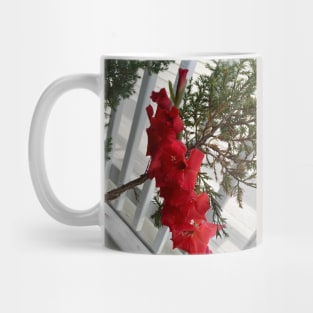 Gladiolus Mug